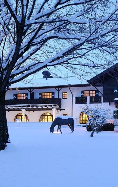 Schneebedeckter Blick auf das Hotel Gut Ising am Chiemsee in dem ein großer Baum sowie eine Pferdeskulptur steht.