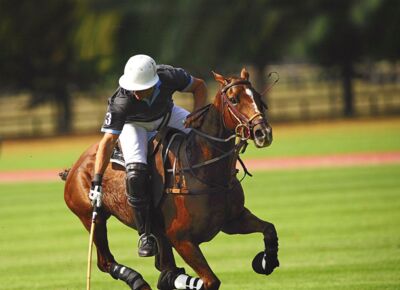 Ein Reiter auf einem braunen Pferd in der Nähe des Hotels Gut Ising am Chiemsee.